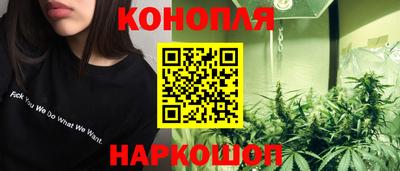 гашик Нарткала