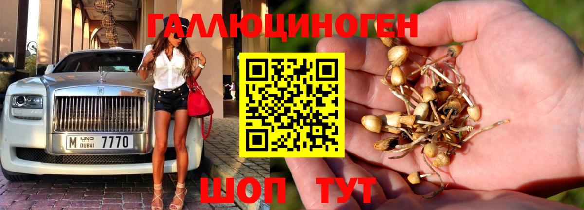 Псилоцибиновые грибы ЛСД  Вход с VPN  Горно-Алтайск  Псилоцибиновые грибы прущие грибы 