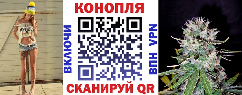 Конопля Ganja  Горно-Алтайск 